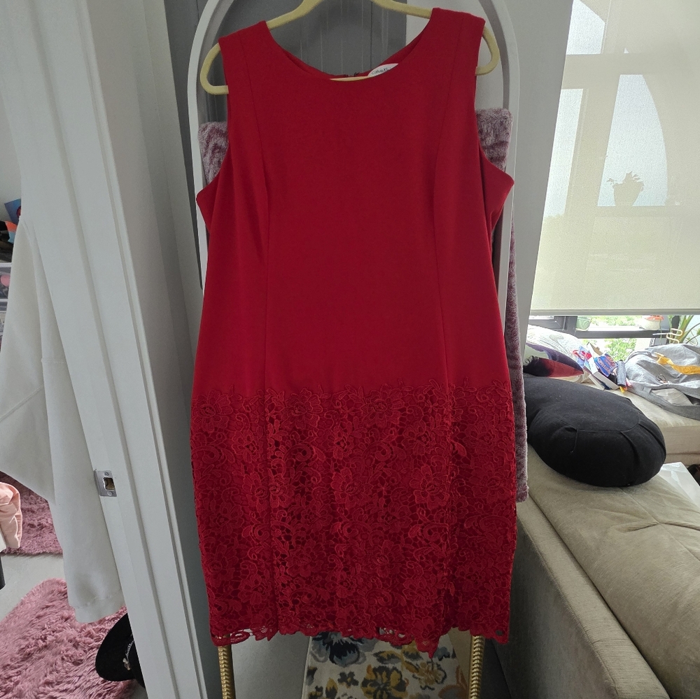 Calvin Klein Vibrant Red Dress